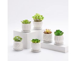 Set van 6 eenvoudige porseleinen plantenbakken voor kleine vetplanten met afvoer en schotel