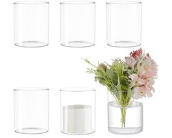 Set van 6 Glazen Cilinder Vazen voor Hydroponische Planten, 10 cm x 8.5 cm, Transparant voor Moderne Decoratie