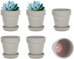 Set van 6 Grijze Terracotta Bloempotten 12.5 cm met Schotel en Drainagegat