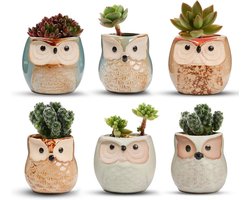 Set van 6 Keramische Plantenpotten met Uil Ontwerp - Cactus, Bonsai & Succulenten Potten