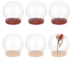 Set van 6 Mini Glazen Kappen met Houten Basis