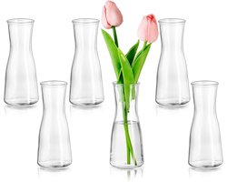 Set van 6 Moderne Mini Vazen - Decoratieve Helder Glazen Bloemenvazen - Minimalistische Bloemenvazen voor Woonkamer en Bruiloft