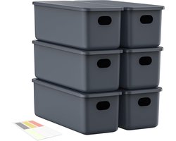 Set van 6 Opbergdozen met Deksel - Plastic Opbergdozen, Opbergmanden met Handvatten voor Keuken, Kast en Badkamer - Organizer Box met Stickers in Grijs