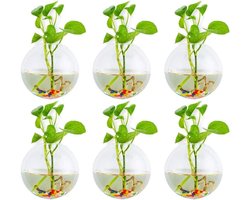 Set van 6 Sferische Wandplantenpotten - Terrarium Vazen met Kleurige Steentjes voor Binnen en Buiten, Perfect voor Thuis, Tuin en Bruiloften