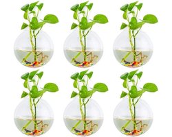 Set van 6 Sferische Wandplantenpotten - Terrarium Vazen met Kleurige Steentjes voor Binnen en Buiten, Perfect voor Thuis, Tuin en Bruiloften