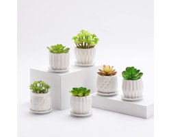 Set van 6 witte porseleinen plantenbakken - met schotel - geschikt voor kleine planten