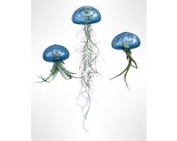 Set van drie Jellyfish luchtplanten met "zee-egels" van blauw glas./valentijn/valentijsdag/valentine