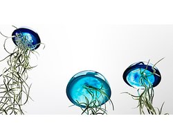 Set van drie mooi gekleurde glazige Jellyfish luchtplantjes blauw met Spaans mos/airplants/tillandsia/Usneoides/kwal/kamerplant/makkelijke plant/epoxy