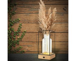 Sfeervolle Tafellamp - Draadloze LED Vaaslamp - Glazen Vaas - Industrieel Design - 26 x Ø13 cm - Ideaal Cadeau voor Haar