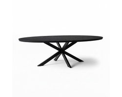 Sfeerwonen Enzo - Eettafel - Ovaal - 220x110 cm - Mangohout Zwart - Matrix Onderstel