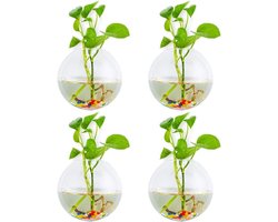 Sferische glazen wandplantenpotten met kleurrijke stenen - 4 stuks voor binnen en buiten, ideaal voor tuin, kantoor en bruiloften
