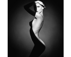 Shadow Collection lll- Kristal Helder Galerie kwaliteit Plexiglas 5mm. - Blind Aluminium Ophang-frame - Luxe wanddecoratie - Fotokunst - professioneel verpakt en gratis bezorgd