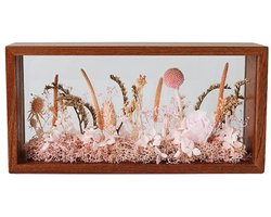 Shadow Picture Frame, Wooden Double-Sided High Definition Plexiglass Storage Box, DIY Display Box, Suitable for Dried Flowers, Specimens, Crafts (Walnut Brown)