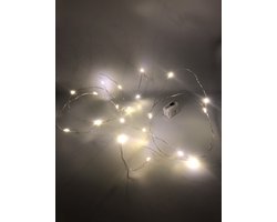 Shopping4All- Draadverlichting- Zilverdraad - 20 warme LED lampjes - 195cm