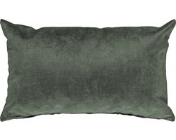 Sierkussen Palladium - Polyester - Groen - 35x55 cm (BxH)