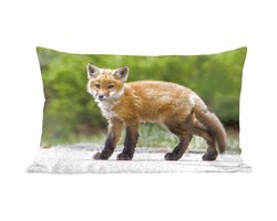 Sierkussen Vos voor binnen - Vossenjong - 50x30 cm - rechthoekig binnenkussen van katoen