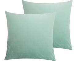 Sierkussenhoes Velvet Liveonce 2 Stuks licht Groen 45x45cm Interieur Kussenhoes Berlin