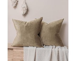 Sierkussenhoezen Set - Fluwelen Kussenslopen - Woonkamer Decoratie - Onzichtbare Rits - 50x50 cm - Steen