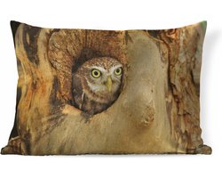 Sierkussens - Kussen - Bruine uil kijkt uit een gat in een boom - 60x40 cm - Kussen van katoen