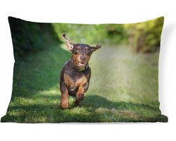 Sierkussens - Kussen - Een sprintende Teckel - 60x40 cm - Kussen van katoen
