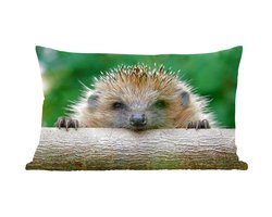 Sierkussens - Kussen - Egel bijt in hout - 50x30 cm - Kussen van katoen