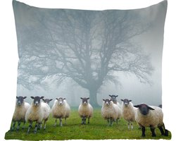 Sierkussens - Kussen - Kudde schapen in de mist - 45x45 cm - Kussen van katoen