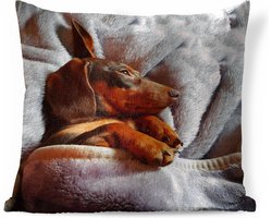 Sierkussens - Kussen - Schattige Teckel ligt onder de dekens - 45x45 cm - Kussen van katoen