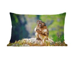 Sierkussens - Kussen - Twee apen op een steen - 50x30 cm - Kussen van katoen