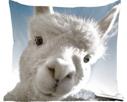 Sierkussens - Kussentjes Woonkamer - 40x40 cm - Alpaca - Dier - Wit