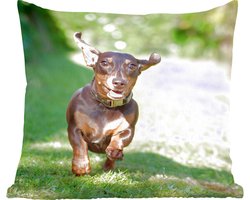Sierkussens - Kussentjes Woonkamer - 40x40 cm - Een sprintende Teckel