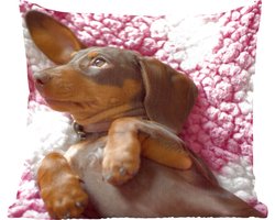 Sierkussens - Kussentjes Woonkamer - 40x40 cm - Een Teckel puppy op een roze deken