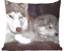 Sierkussens - Kussentjes Woonkamer - 40x40 cm - Grote hond met een kleine pup op de bank