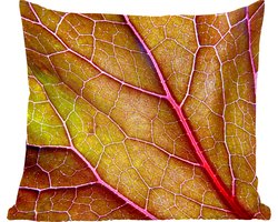 Sierkussens - Kussentjes Woonkamer - 40x40 cm - Grote rode nerven in een groen blad