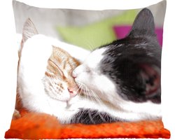 Sierkussens - Kussentjes Woonkamer - 40x40 cm - Katten - Knuffel - Dierendag