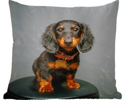 Sierkussens - Kussentjes Woonkamer - 40x40 cm - Studio foto van teckel puppy