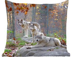 Sierkussens - Kussentjes Woonkamer - 40x40 cm - Wolven - Rots - Bos