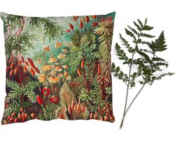 Sierkussens - Kussentjes Woonkamer - 45x45 cm - Bloemen - Kunst - Vintage - Natuur - Botanisch