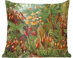 Sierkussens - Kussentjes Woonkamer - 45x45 cm - Muscinae - Ernst Haeckel - Oude Meesters