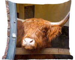 Sierkussens - Kussentjes Woonkamer - 45x45 cm - Schotse Hooglander - Boerderij - Schuur