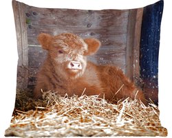 Sierkussens - Kussentjes Woonkamer - 45x45 cm - Schotse hooglander - Boerderij - Stro