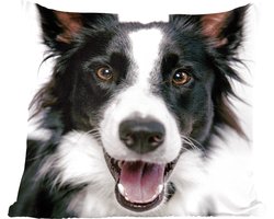 Sierkussens - Kussentjes Woonkamer - 45x45 cm - Vrolijke Border Collie