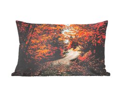 Sierkussens - Kussentjes Woonkamer - 50x30 cm - Herfstbos - Pad - Bladeren - Landelijk