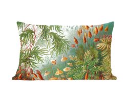 Sierkussens - Kussentjes Woonkamer - 50x30 cm - Oude meesters - Kunst - Muscinae - Haeckel