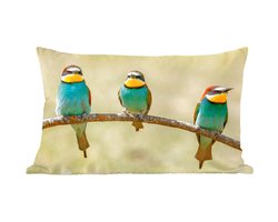 Sierkussens - Kussentjes Woonkamer - 50x30 cm - Vogels - Dieren - Bijeneter