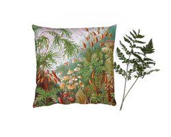 Sierkussens - Kussentjes Woonkamer - 50x50 cm - Oude meesters - Kunst - Muscinae - Haeckel