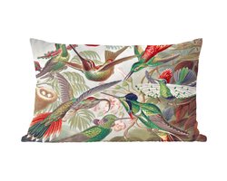 Sierkussens - Kussentjes Woonkamer - 60x40 cm - Kolibrie - Vintage - Ernst Haeckel - Vogel - Kunst - Natuur