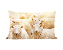 Sierkussens - Kussentjes Woonkamer - 60x40 cm - Schapen - Wol - Wit