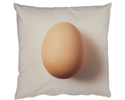 Sierkussens - Kussentjes Woonkamer - 60x60 cm - Ei - Beige - Ovaal - Egaal