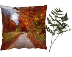 Sierkussens - Kussentjes Woonkamer - 60x60 cm - Herfst - Herfstbladeren - Pad - Bos