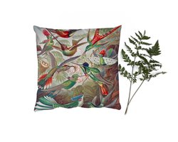 Sierkussens - Kussentjes Woonkamer - 60x60 cm - Kolibrie - Vintage - Ernst Haeckel - Vogel - Kunst - Natuur